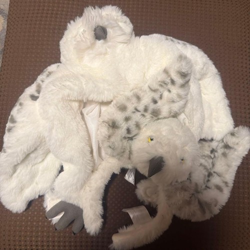 Harry potter hedwig owl - hedwig,